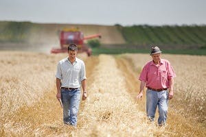 Two men walking in a wheat field with a tractor behind them